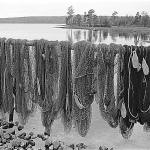 Drying the seine.jpg